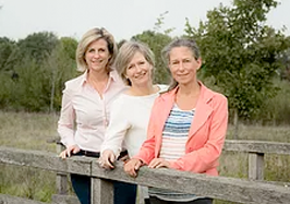 Bestuur De Kaart